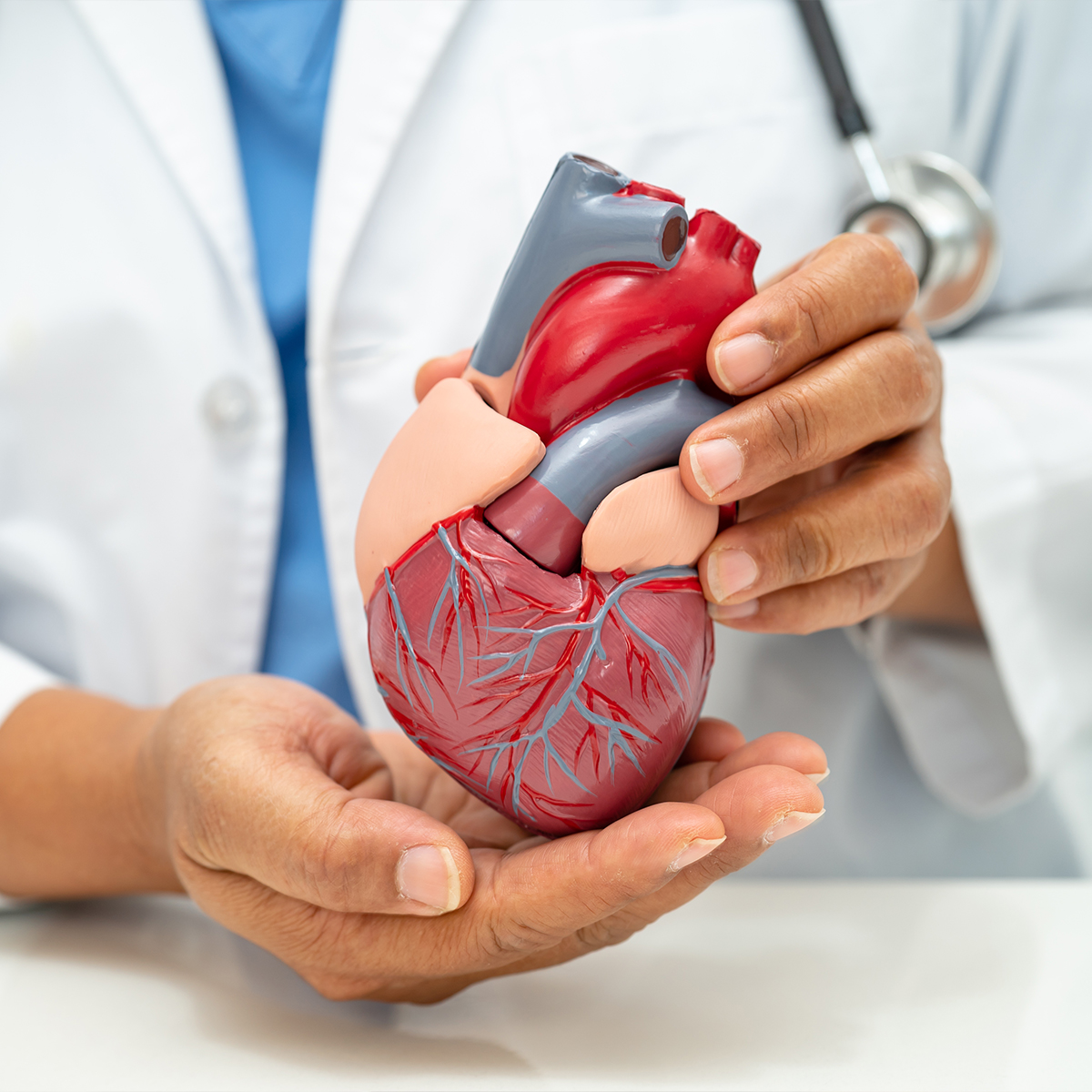 cardiologia https://biopediamedic.com/wp-content/uploads/2025/08/cardiologia.jpg
