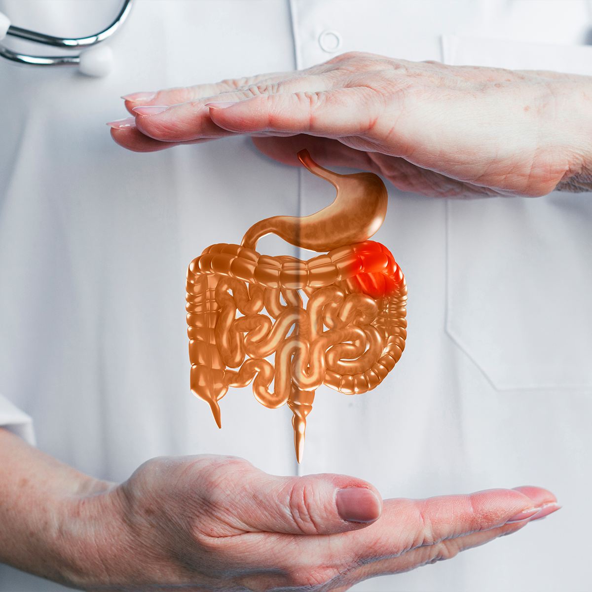 gatroenterologia https://biopediamedic.com/wp-content/uploads/2025/08/gatroenterologia.jpg